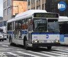 New York kentsel otobüs